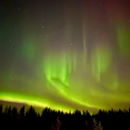 Aurora Wilderness-kuorikki *