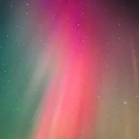 Aurora Wilderness-kuorikki Karvonen