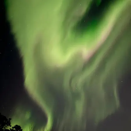 Aurora Wilderness-kuorikki * Karvonen