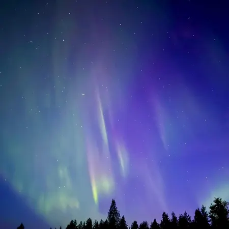 Aurora Wilderness-kuorikki * Karvonen
