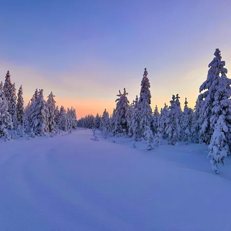 Aurora Wilderness-kuorikki شقة Karvonen