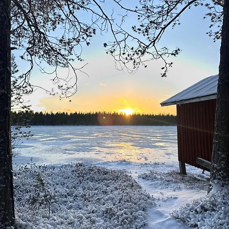 Aurora Wilderness-kuorikki * Suutari