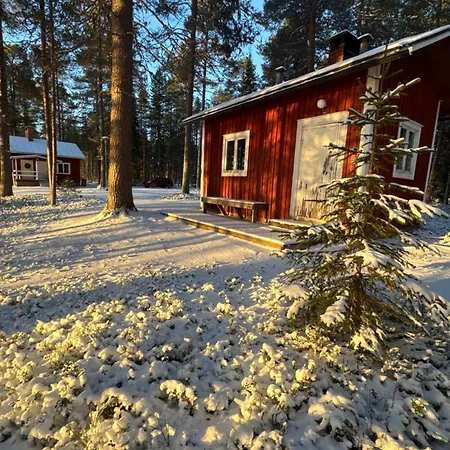 Aurora Wilderness-kuorikki * Karvonen