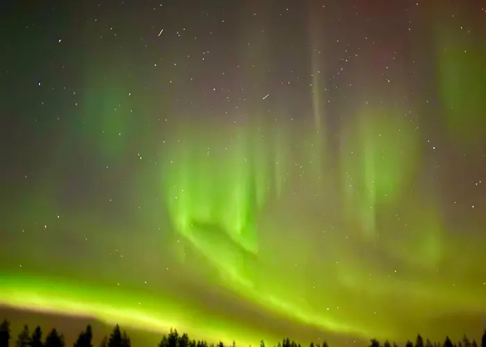 Aurora Wilderness-kuorikki *