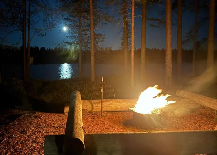 Aurora Wilderness-kuorikki