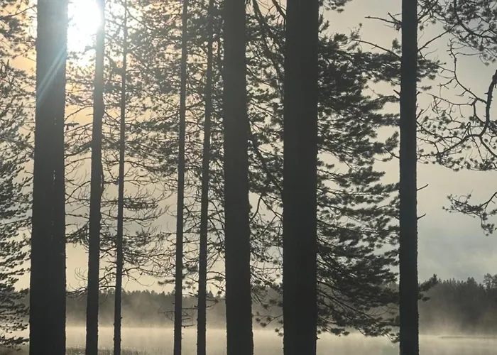 Aurora Wilderness-kuorikki Suutari