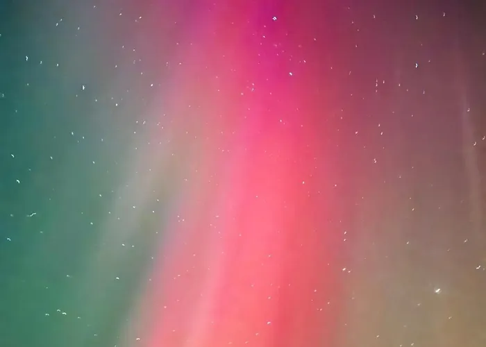 Aurora Wilderness-kuorikki Suutari