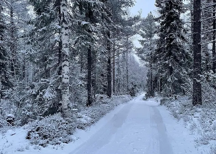 Aurora Wilderness-kuorikki Lägenhet Suutari
