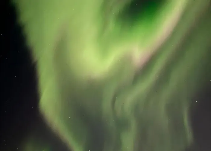 Aurora Wilderness-kuorikki * Suutari