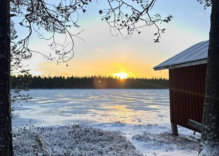 Aurora Wilderness-kuorikki * Suutari