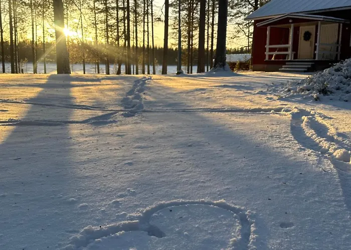 Aurora Wilderness-kuorikki