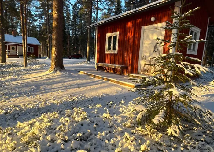 Aurora Wilderness-kuorikki * Suutari